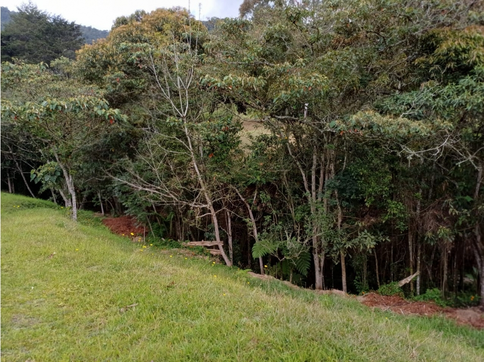 LOTE EN LA CEJA - PARCELACION EL YARUMO - VISTA PANORAMICA — foto 5