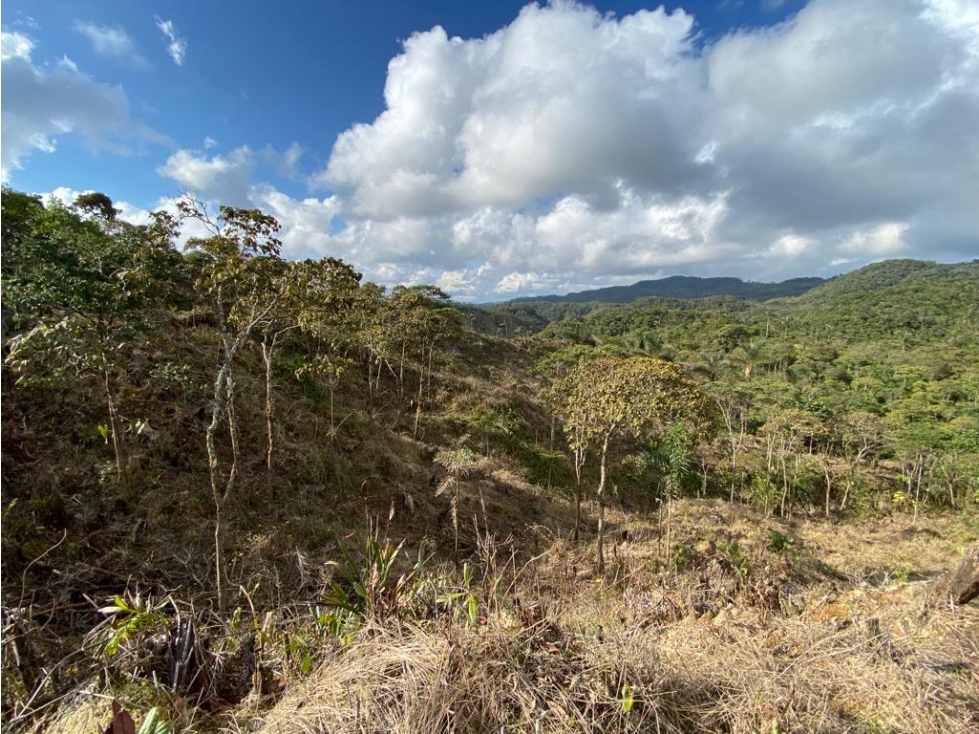 LOTE EN VENTA EN GUATAPÉ A 8 MINUTOS DEL PUEBLO