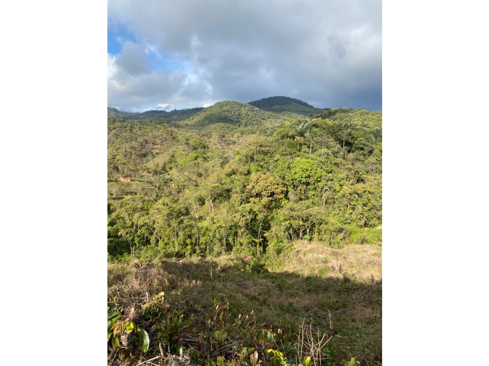 LOTE EN VENTA EN GUATAPÉ A 8 MINUTOS DEL PUEBLO — foto 2