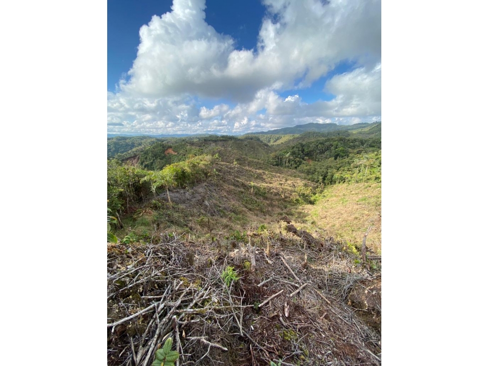 LOTE EN VENTA EN GUATAPÉ A 8 MINUTOS DEL PUEBLO — foto 4