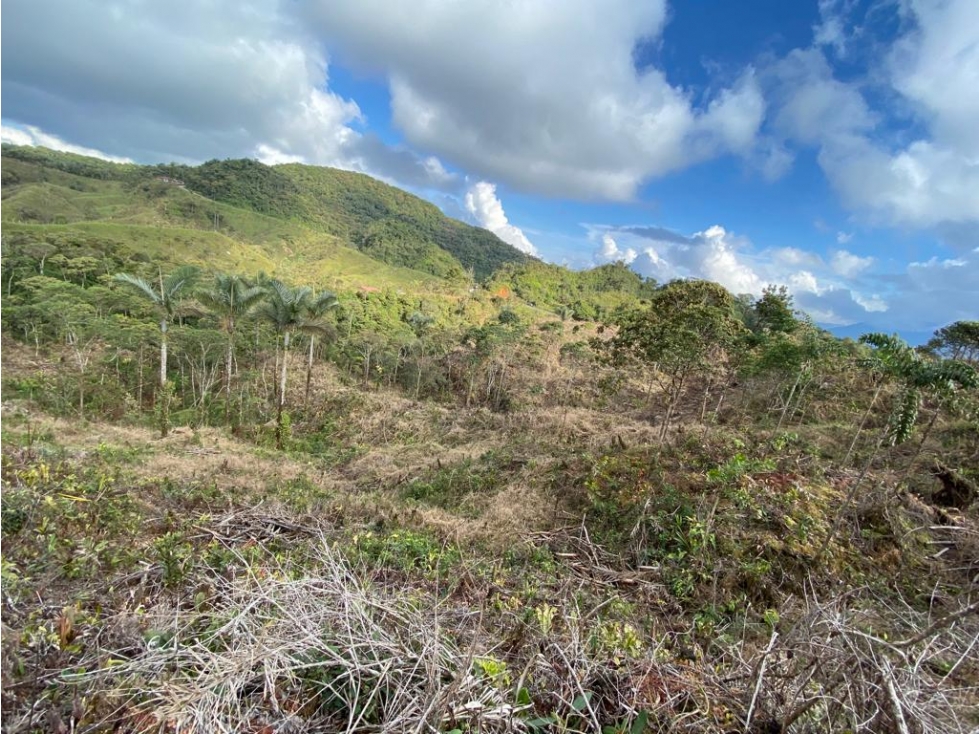 LOTE EN VENTA EN GUATAPÉ A 8 MINUTOS DEL PUEBLO — foto 5