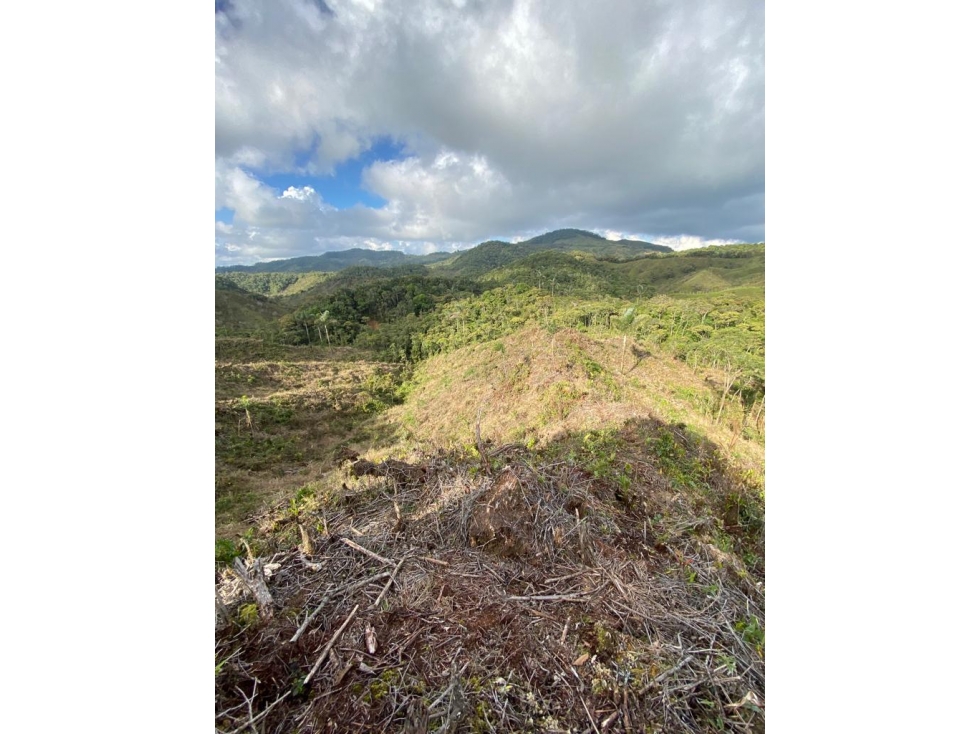 LOTE EN VENTA EN GUATAPÉ A 8 MINUTOS DEL PUEBLO — foto 6