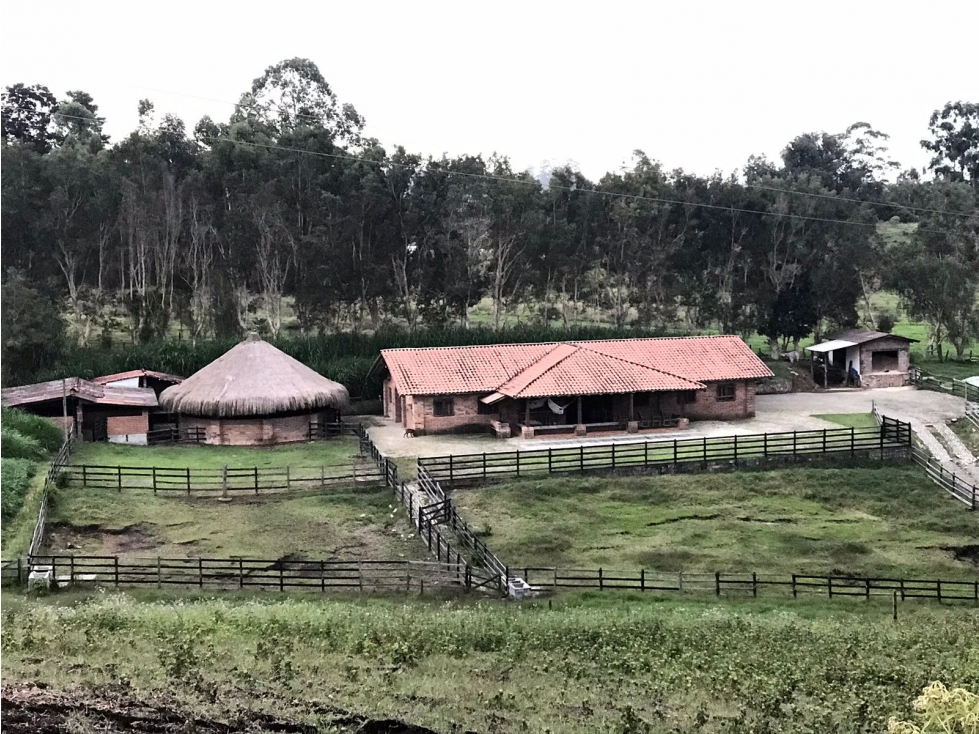 VENDO FINCA EN RIONEGRO VEREDA EL TABLAZO — foto 3