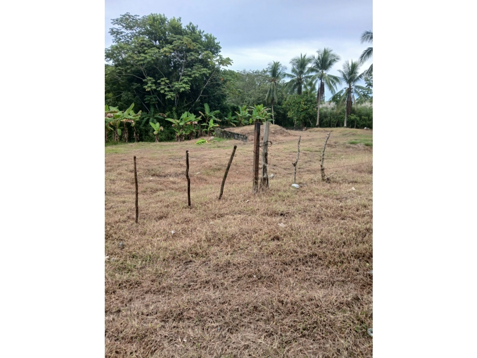 Se Vende terreno ubicado en Pacora (AP) - 2