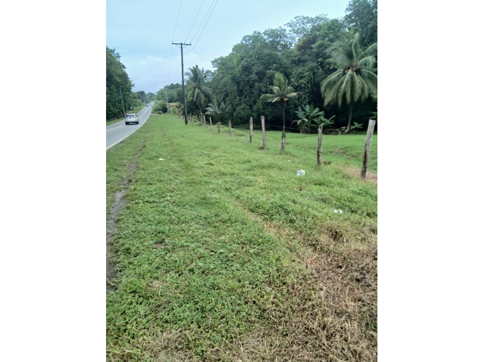 Se Vende terreno ubicado en Pacora (AP) - 3