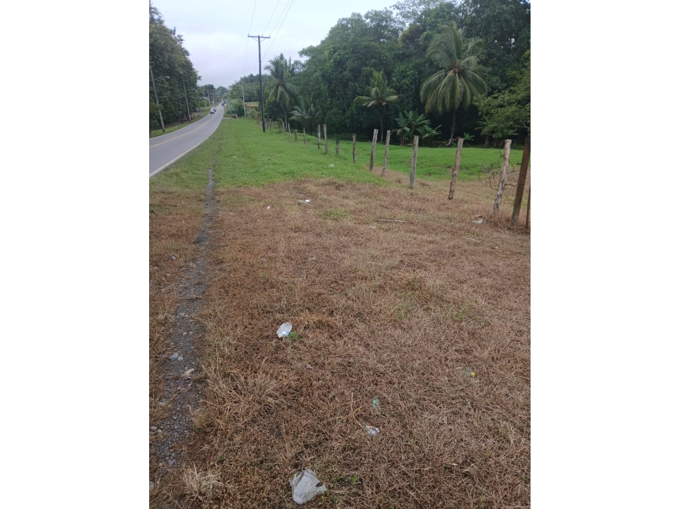 Se Vende terreno ubicado en Pacora (AP) - 4