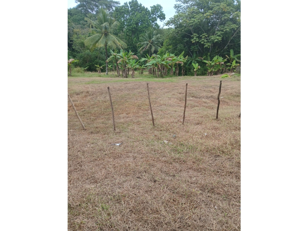 Se Vende terreno ubicado en Pacora (AP) - 5