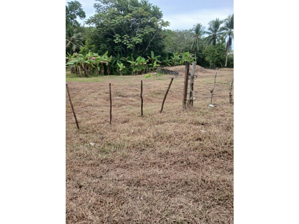 Se Vende terreno ubicado en Pacora (AP) - 6