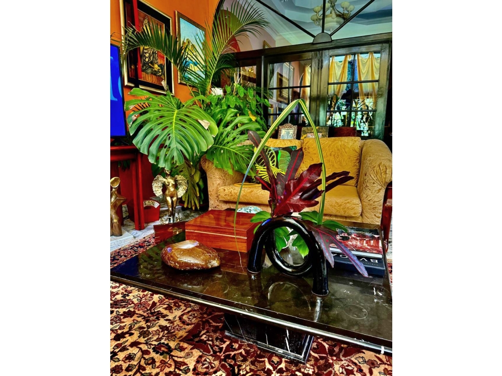 Se Vende mansión ubicada en Vía Cincuentenario, San Francisco (MS) — foto 2