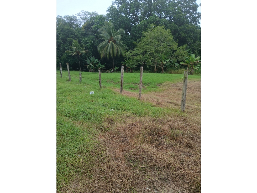 Se Vende terreno ubicado en Pacora (AP)