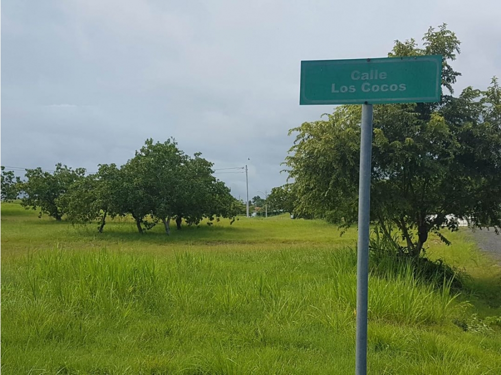 Se Vende terreno en Coronado - Negociable (LM) - 2