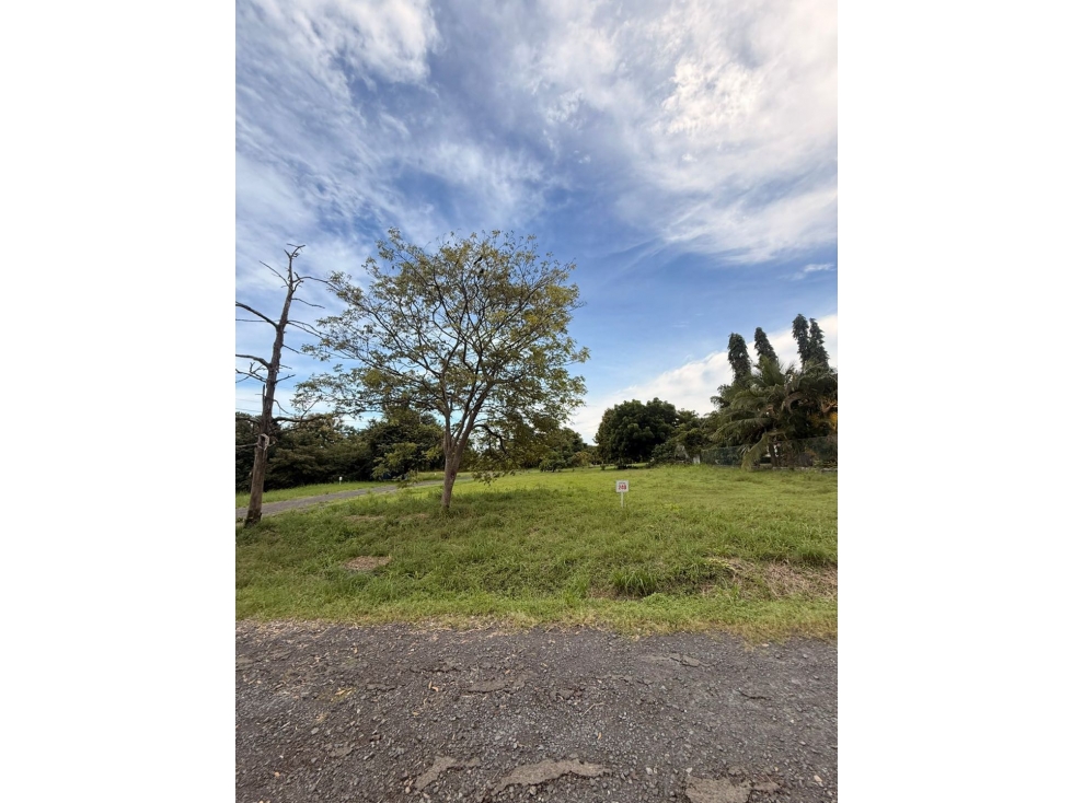 Se Vende terreno en Coronado - Negociable (LM) - 4