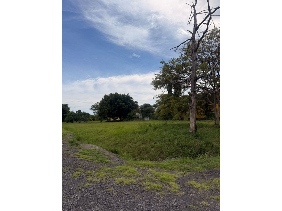 Se Vende terreno en Coronado - Negociable (LM) - 5