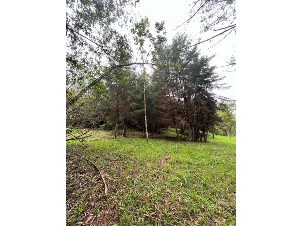 [RH] Lote para la venta en Pontezuela, Rionegro — foto 2