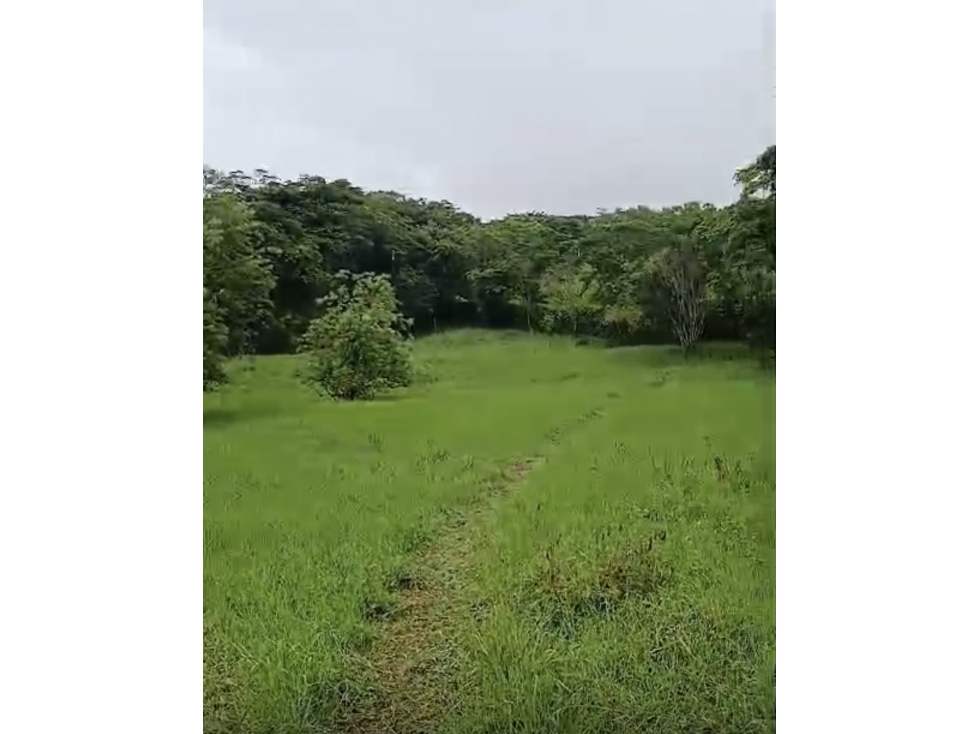 [RH] Lote en venta, parcelación entre Cauca Viejo y Puente Iglesias - 2