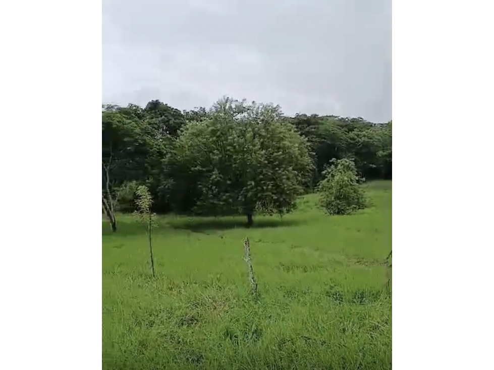 [RH] Lote en venta, parcelación entre Cauca Viejo y Puente Iglesias - 3
