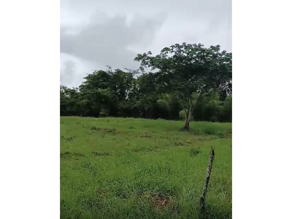 [RH] Lote en venta, parcelación entre Cauca Viejo y Puente Iglesias - 4