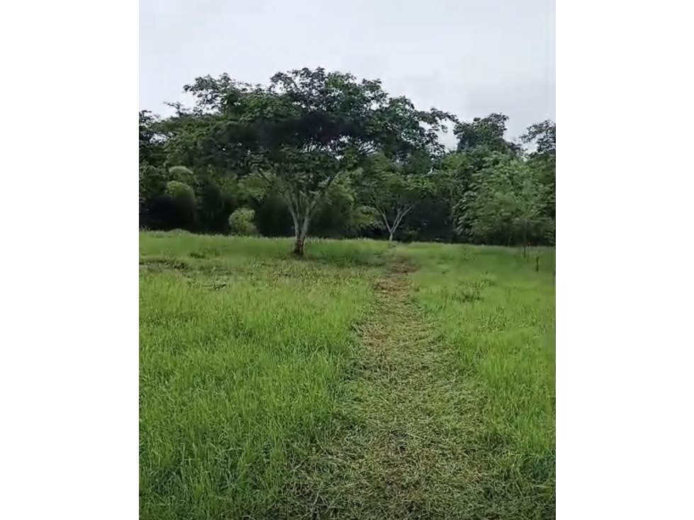 [RH] Lote en venta, parcelación entre Cauca Viejo y Puente Iglesias - 5