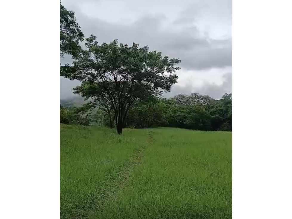 [RH] Lote en venta, parcelación entre Cauca Viejo y Puente Iglesias - 6