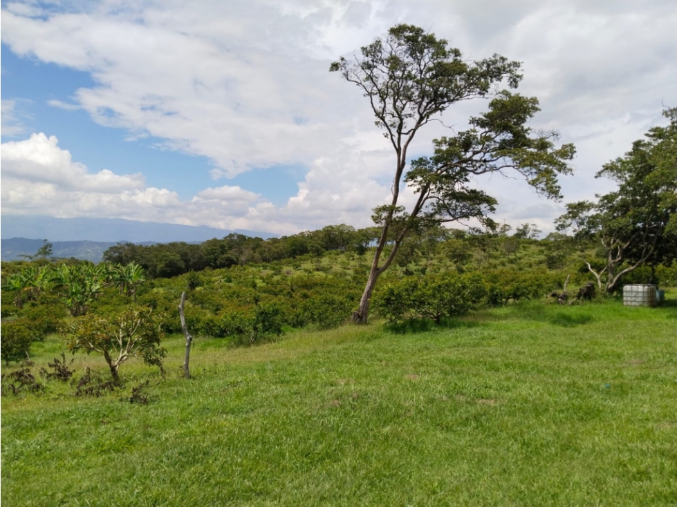Finca en venta en Moniquirá, Boyacá - 6