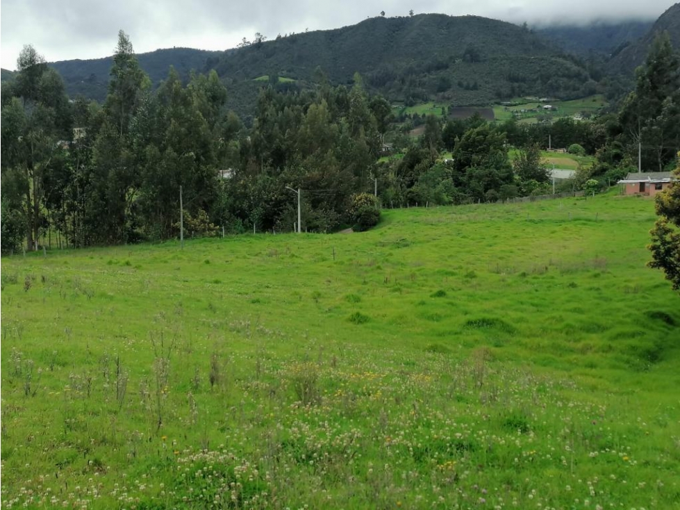 Finca en Venta Sesquilé Cundinamarca - 2