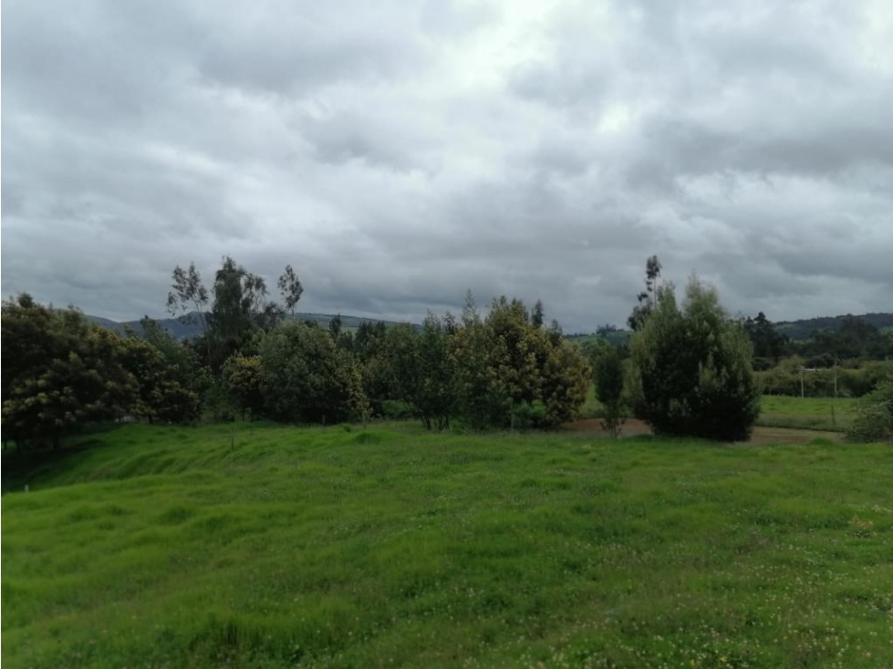Finca en Venta Sesquilé Cundinamarca - 3