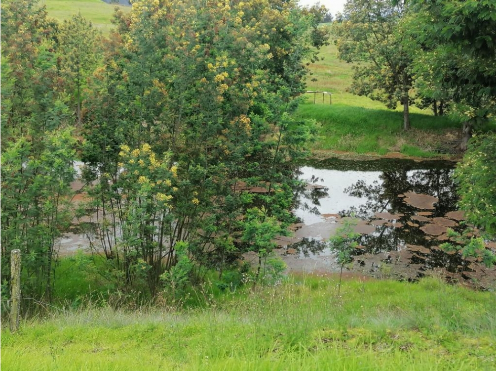 Finca en Venta Sesquilé Cundinamarca - 4