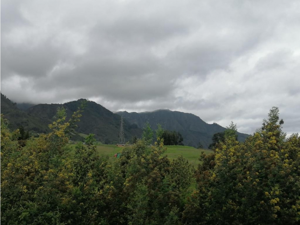 Finca en Venta Sesquilé Cundinamarca - 5