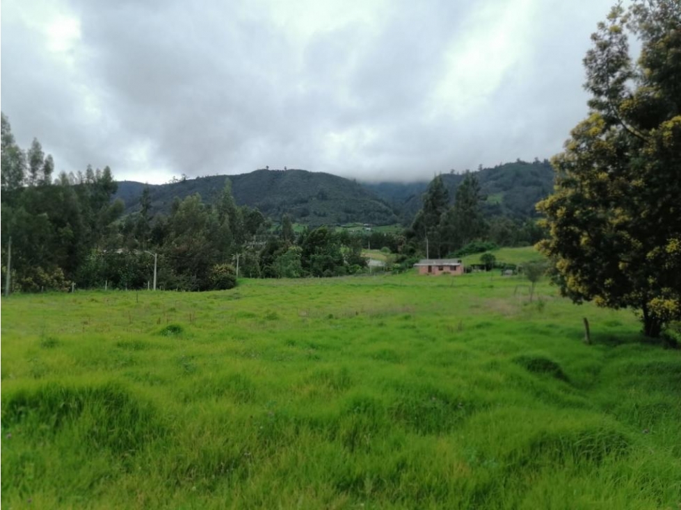 Finca en Venta Sesquilé Cundinamarca - 6