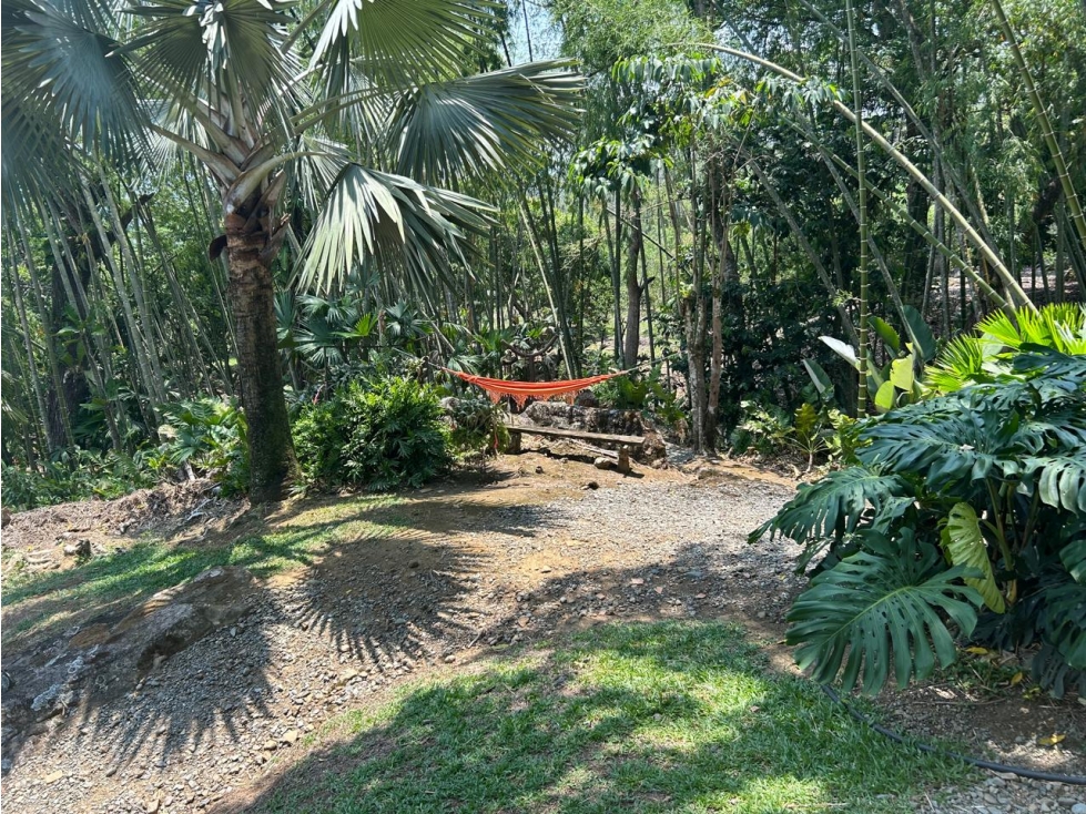 VENTA DE HERMOSA FINCA EN VENECIA ANTIOQUIA - UNIDAD CERRADA — foto 6