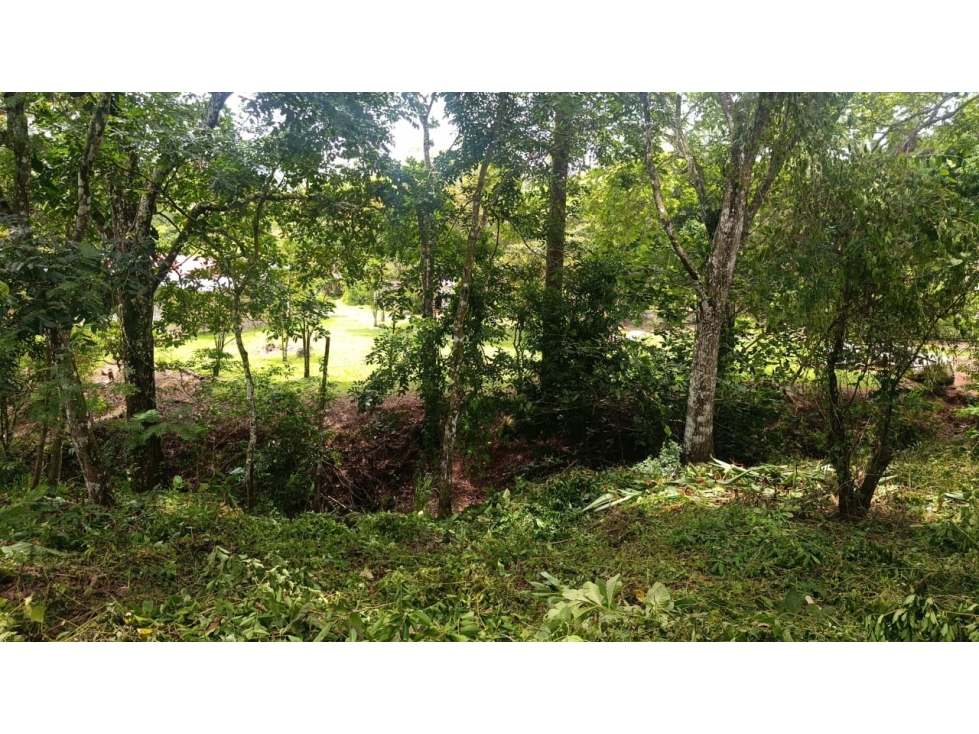 Venta de Lote en Sorá, Chame - 5
