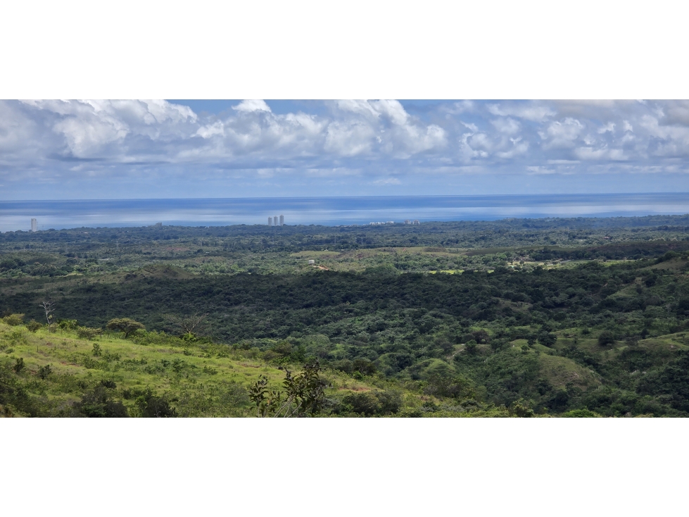 TERRENO EN VENTA | CABUYA, CHAME