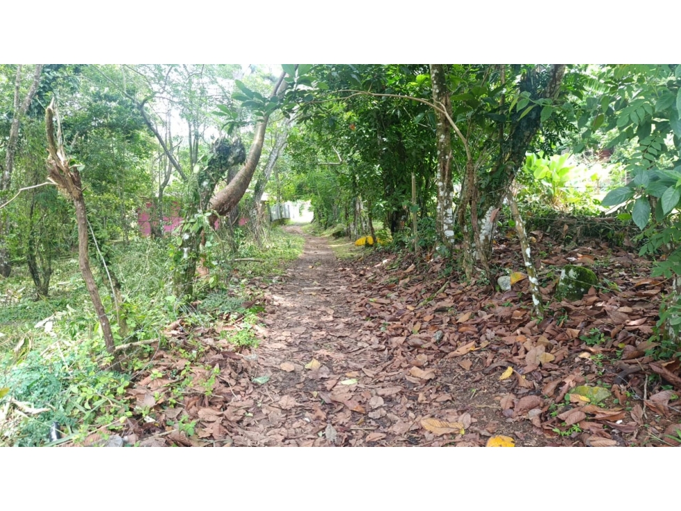 Venta de Lote en Sorá, Chame - 3