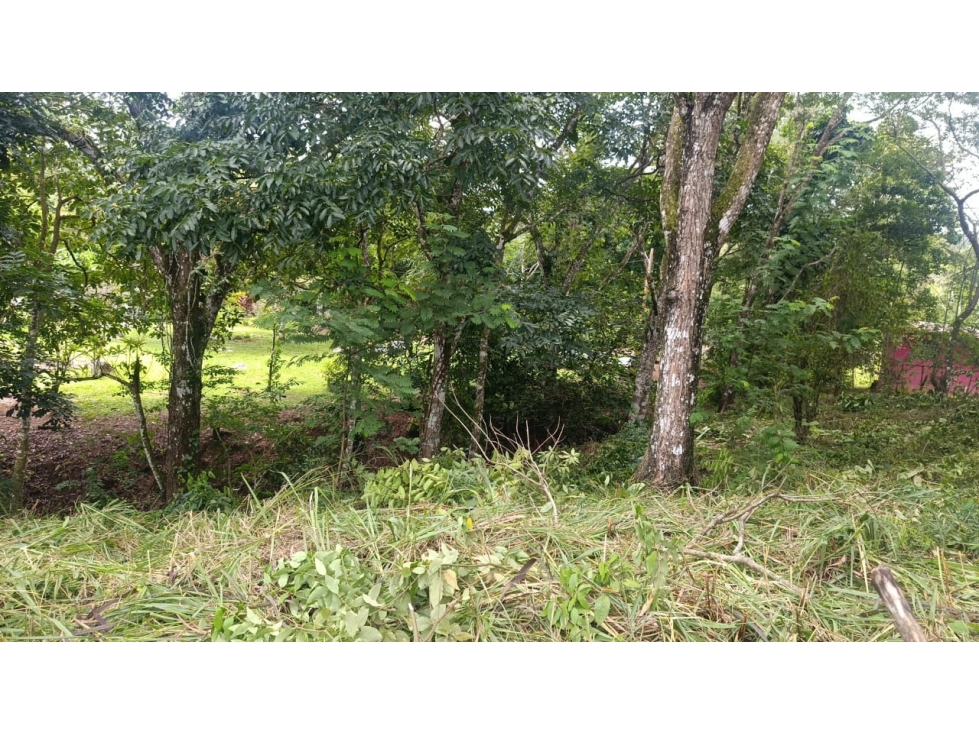 Venta de Lote en Sorá, Chame - 6