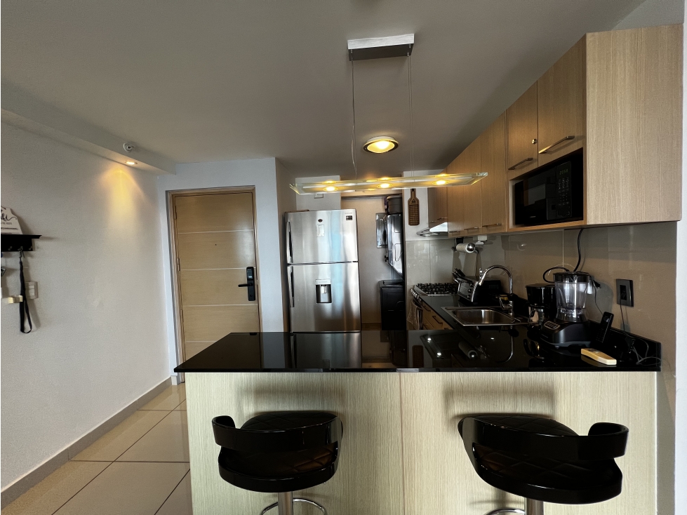 ALQUILER DE APARTAMENTO PH TORRES DE CASTILLA, VÍA ESPAÑA — foto 5