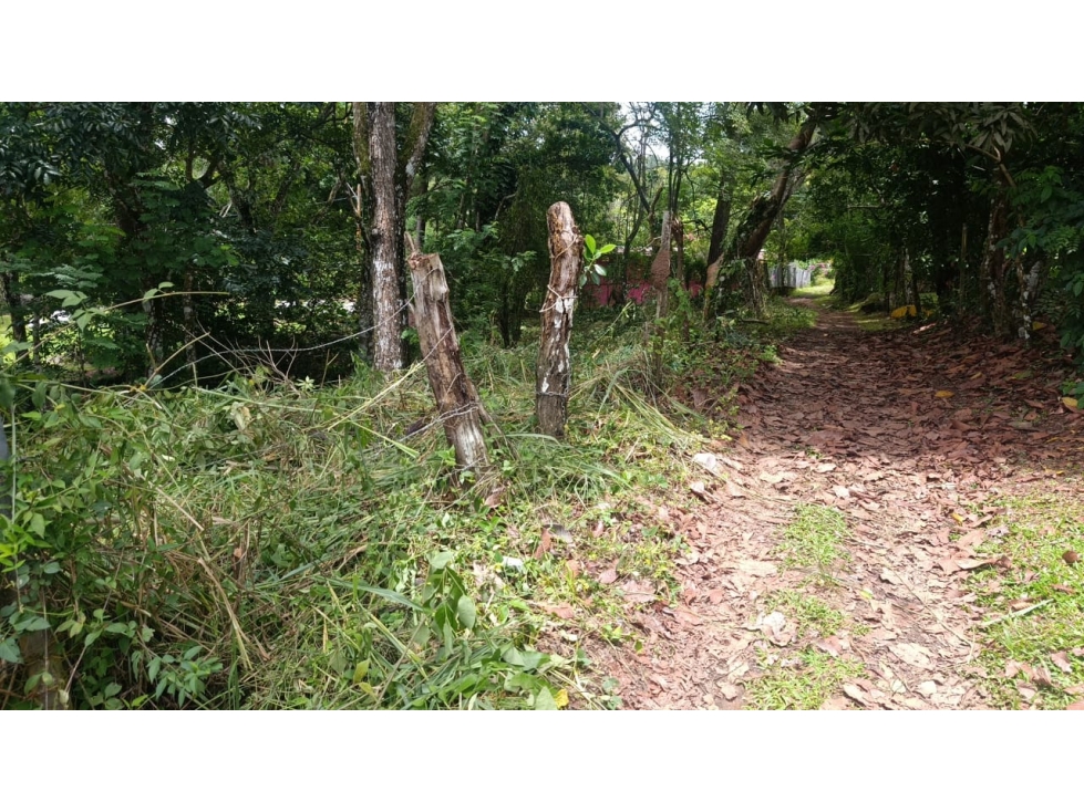 Venta de Lote en Sorá, Chame - 4
