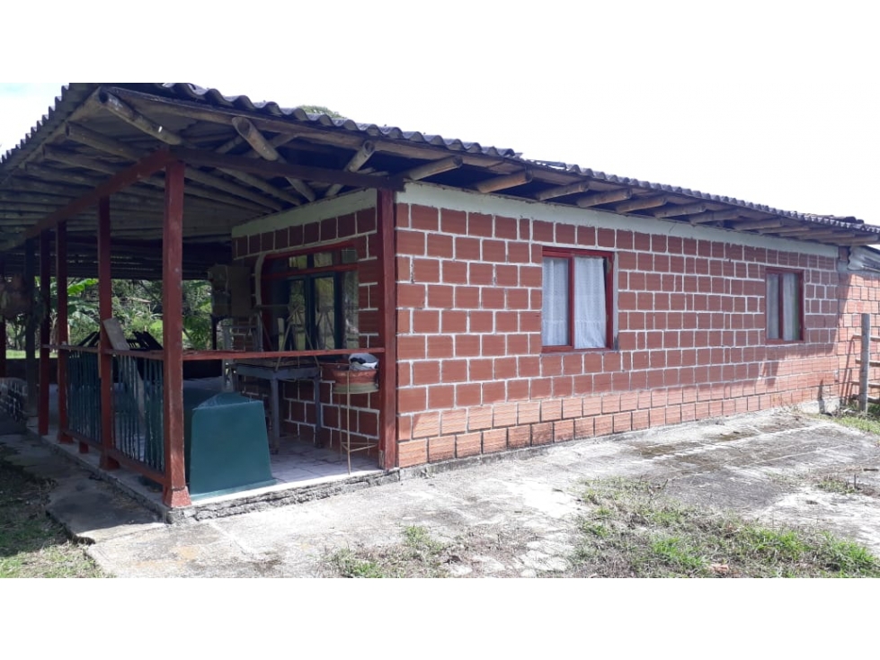 Venta de Finca Filadelfia Caldas - 5
