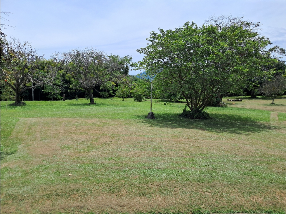 Venta Lote x 10.000m2 Cerritos Pereira Risaralda - 5