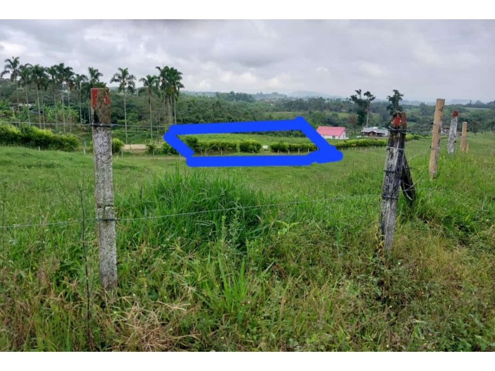 Venta Lote Vereda el Nuevo Via Armenia - 3