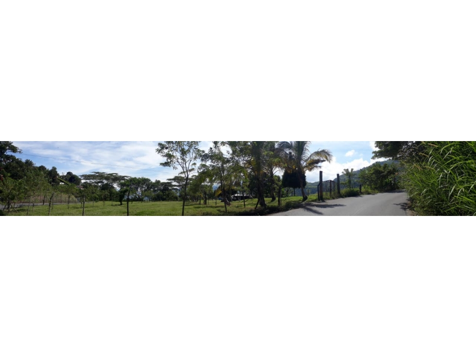 Venta de Finca Filadelfia Caldas - 6