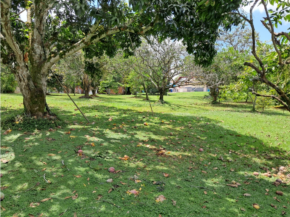 Venta Lote x 10.000m2 Cerritos Pereira Risaralda - 2