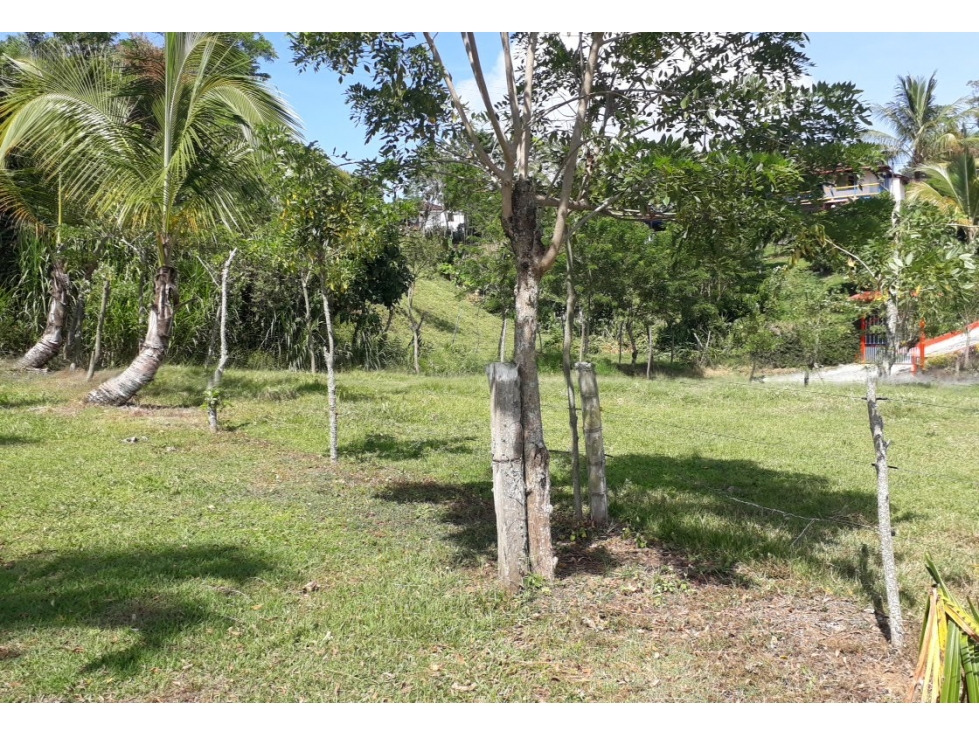 Venta de Finca Filadelfia Caldas - 3