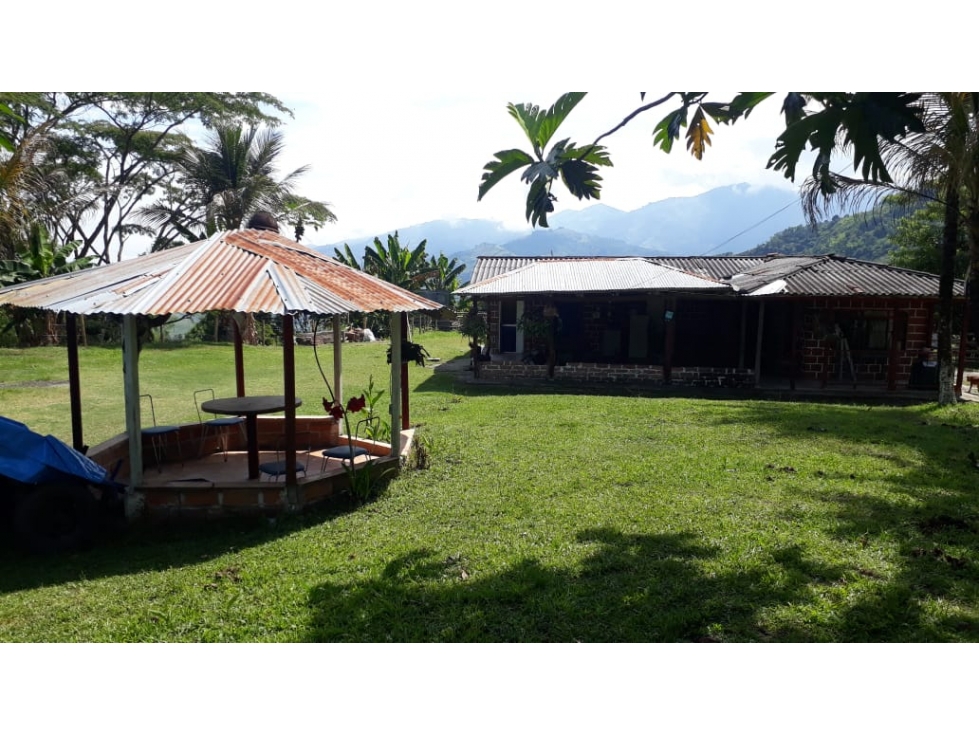 Venta de Finca Filadelfia Caldas - 4