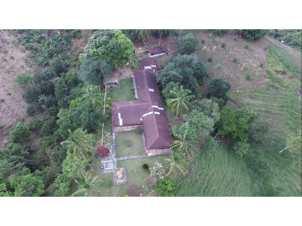 venta finca productora norcasia caldas - 2
