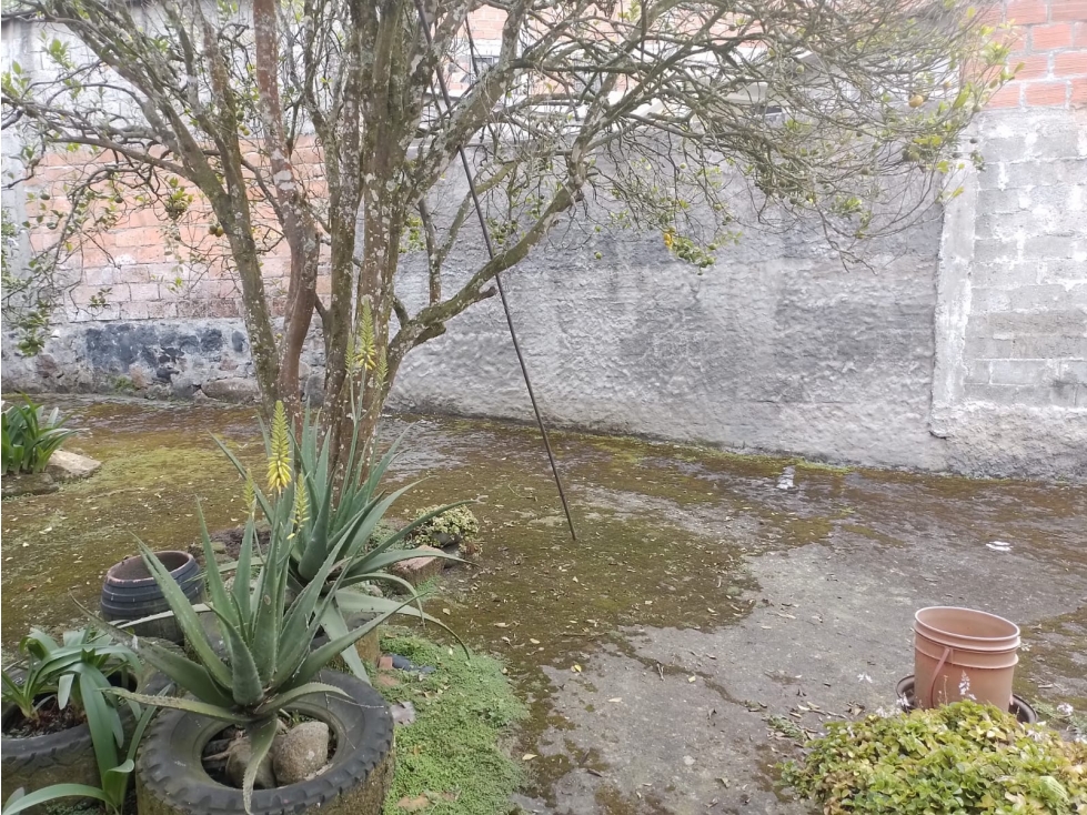 Venta Casa la Francia Manizales — foto 4