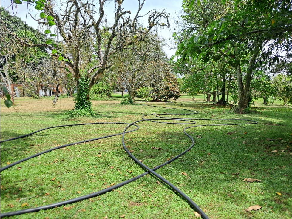 Venta Lote x 10.000m2 Cerritos Pereira Risaralda - 3