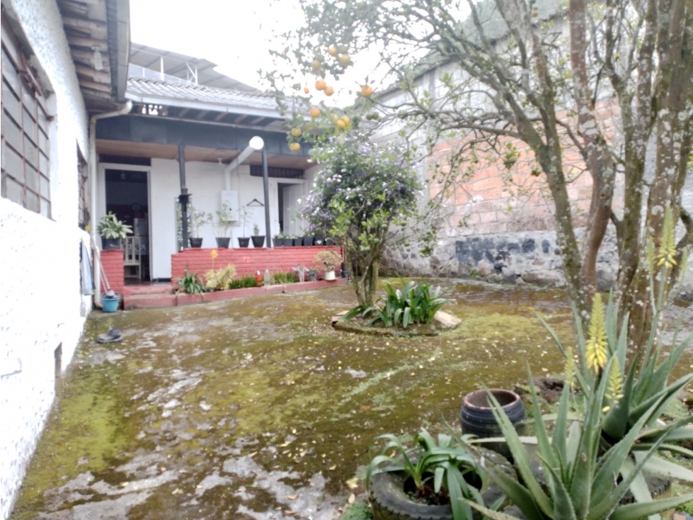 Venta Casa la Francia Manizales — foto 2