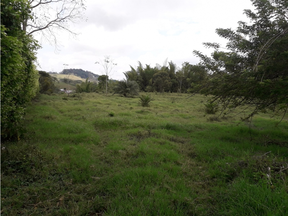 Venta Lote Las Margaritas Caldas - 2
