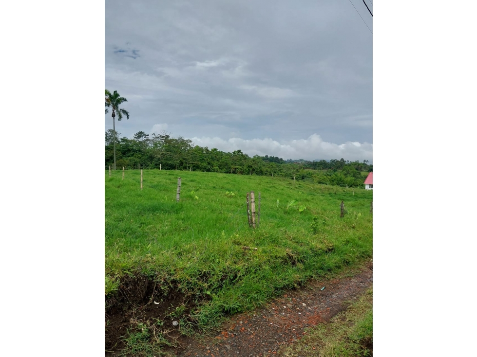 Venta Lote Vereda el Nuevo Via Armenia - 2