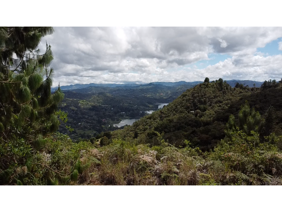 Venta lote el retiro Antioquia urbanizacion cerrada — foto 3